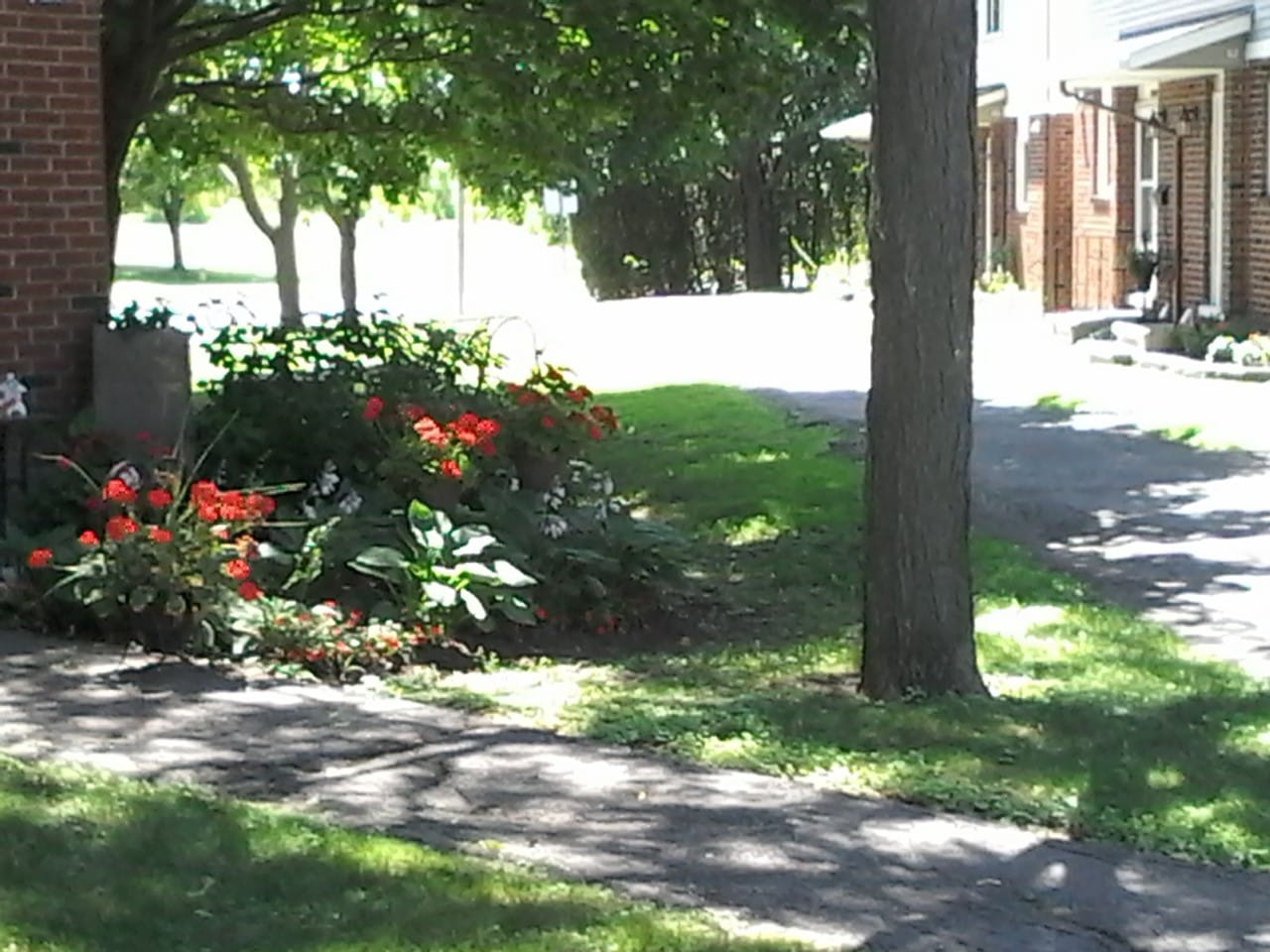 Gallery Carleton Condominium Corporation 316 (CCC316)