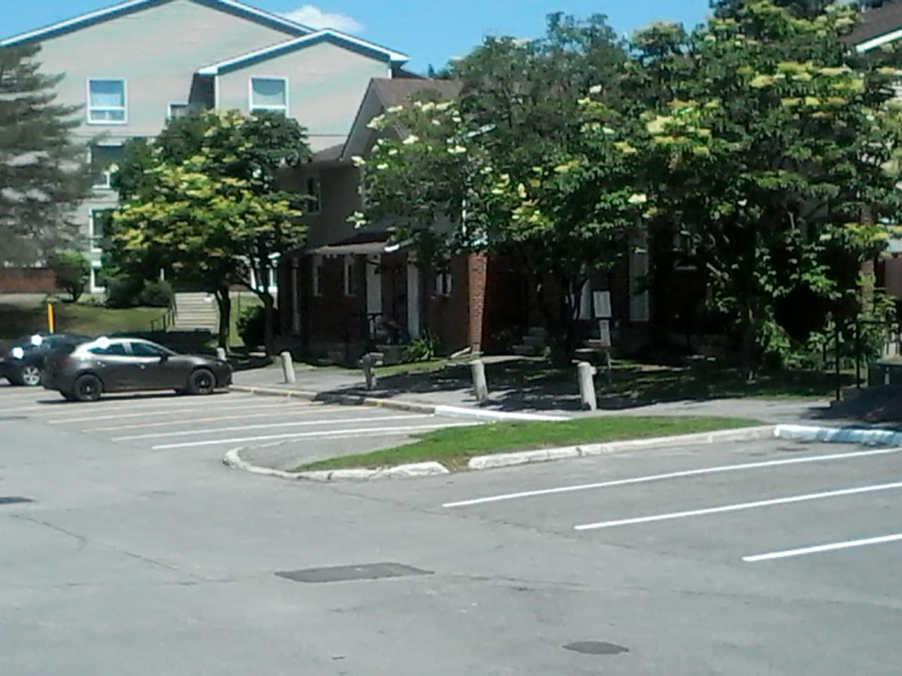 Gallery Carleton Condominium Corporation 316 (CCC316)