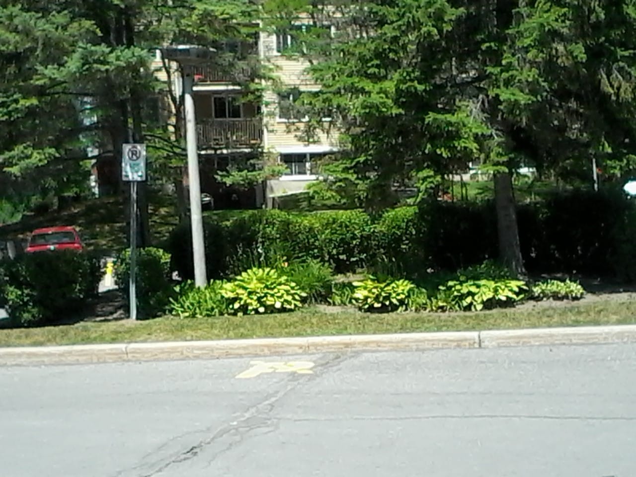 Gallery Carleton Condominium Corporation 316 (CCC316)