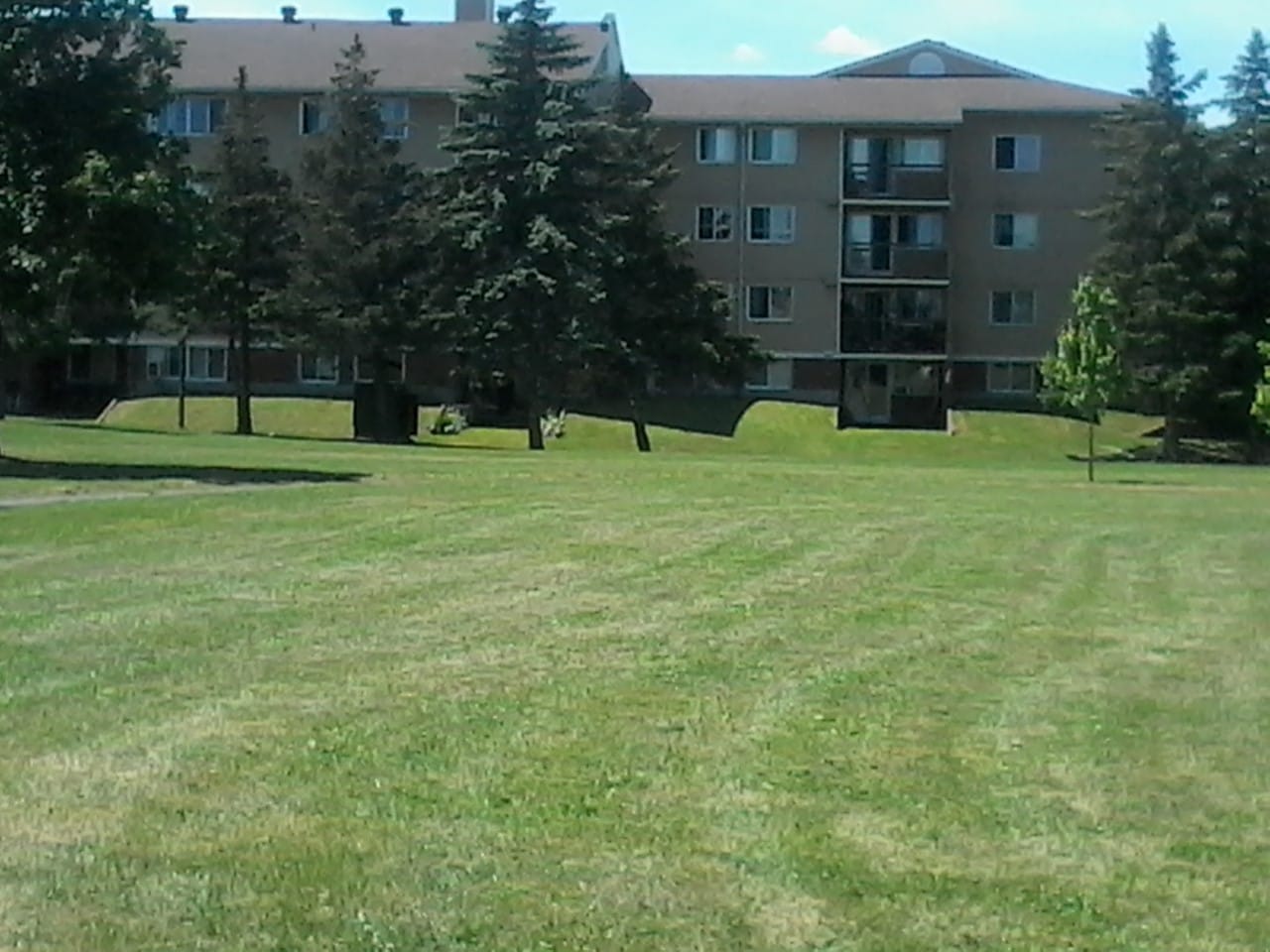 Gallery Carleton Condominium Corporation 316 (CCC316)